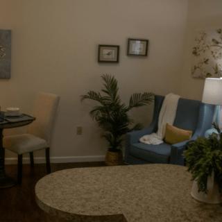 A cozy living room with a sofa, lamp, and decorative plants.