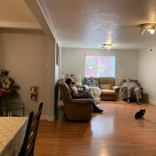 A cozy living room with a sofa, wooden flooring, and a cat sitting on the floor. There's a dining table to the left and light streaming in through the window.