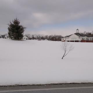 A serene winter landscape covered in snow, featuring a distant house and a tree.