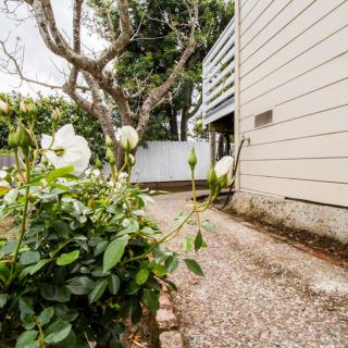 A garden with white flowers beside a stone pathway leading to a house.