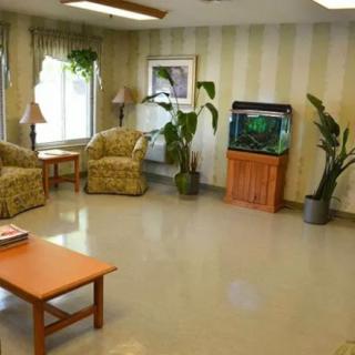 A cozy waiting room with comfortable chairs, an aquarium, and indoor plants.