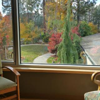A cozy view of a vibrant autumn landscape through a window.