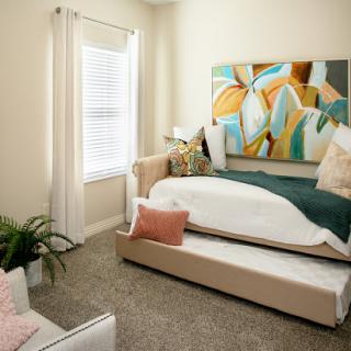 A cozy and modern bedroom featuring a stylish bed, colorful artwork, and a touch of greenery.