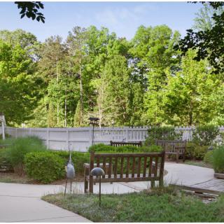 A peaceful park setting with a wooden bench, surrounded by lush greenery and trees.
