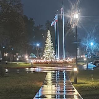 A beautifully illuminated Christmas tree stands in a park at night, reflecting on the wet pavement.