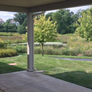 A peaceful backyard view with a patio, grassy lawn, and trees under a clear sky.