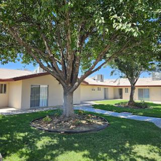 A serene residential courtyard featuring a well-maintained tree and lush green grass.