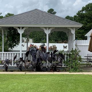 A group of turkeys gathered in front of a gazebo on a grassy lawn.