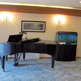 A grand piano sits in a living room next to an aquarium, with wall art and carpeted flooring adding to the decor.