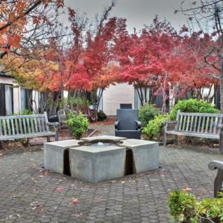 A tranquil garden area with benches surrounded by colorful autumn trees.