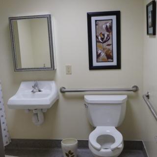 An accessible bathroom with a toilet, sink, mirror, and wall art.