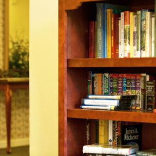 A wooden bookshelf filled with an assortment of books in a cozy library setting.