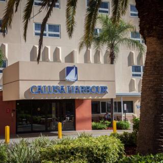 The entrance of a hotel surrounded by palm trees.