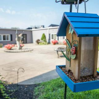 A colorful bird feeder with a blue roof is situated in a garden courtyard.