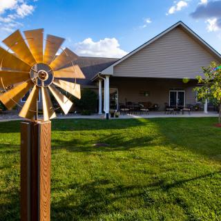 A peaceful backyard scene with a windmill and a house basking in sunlight.