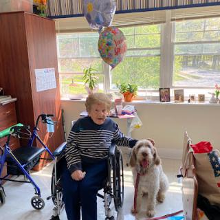 A joyful moment shared between an elderly person in a wheelchair and a friendly dog, surrounded by decorations.
