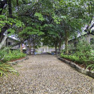 A serene pathway lined with trees, leading through a lush garden.