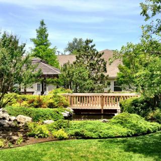 A beautiful garden landscape with a wooden bridge surrounded by lush greenery.