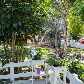 A tranquil garden scene with lush greenery and sunlight filtering through the trees.