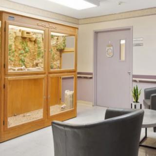 A waiting area with comfortable chairs, a large fish tank, and indoor plants.