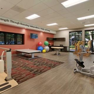 A spacious physical therapy room equipped with various exercise machines and therapy balls, designed for rehabilitation sessions.