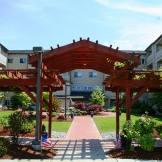 A beautifully landscaped garden with a wooden pergola and pathway leading to a building.