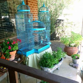 A cozy patio featuring a blue birdcage surrounded by vibrant plants and flowers.