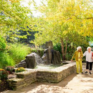 Two women enjoy a peaceful stroll in a serene garden adorned with vibrant foliage and a gentle waterfall.