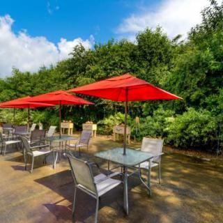 A sunny outdoor patio with tables and chairs shaded by red umbrellas, surrounded by lush greenery.