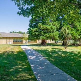 A sunny view of a school building with a pathway leading through a grassy area and large trees.