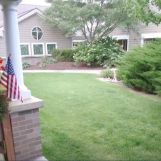 A suburban yard with a well-maintained lawn, featuring a small American flag and surrounding greenery.