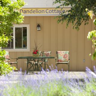 A charming cottage with inviting outdoor seating surrounded by lush greenery and vibrant flowers.