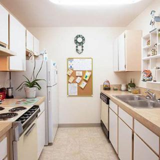 A compact kitchen with white cabinets, a stove, and a refrigerator, featuring bright lighting and a small plant.