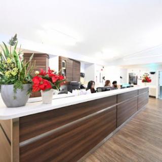 A modern reception area featuring a sleek wooden counter and vibrant plants.