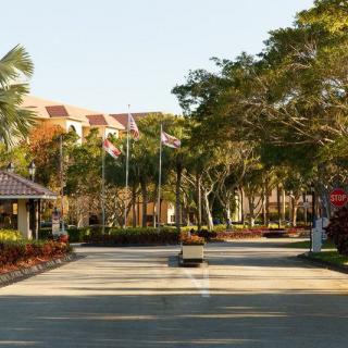 Entrance to a tropical resort with palm trees and flags lining the road.