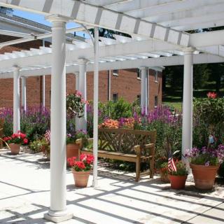 A sunny garden with a white pergola and colorful potted flowers.