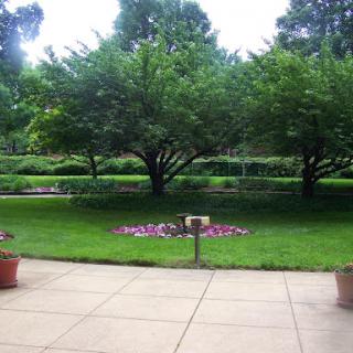 A serene view of a garden showcasing vibrant greenery and colorful flowers.