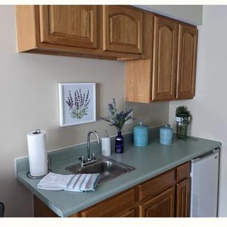 A small kitchen area featuring a countertop with a sink, wooden cabinets, decorative plants, and wall art.