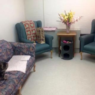 A cozy waiting room with comfortable chairs, a sofa, and a vase of flowers.