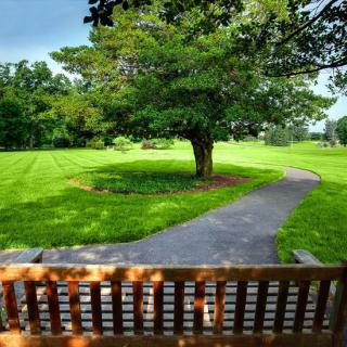 A scenic view of a park with a wooden bench overlooking a grassy field and tree-lined pathway.