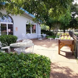 A sunny outdoor patio area with seating and a foosball table surrounded by lush greenery.