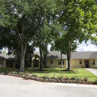 A suburban house surrounded by trees with a driveway in front.