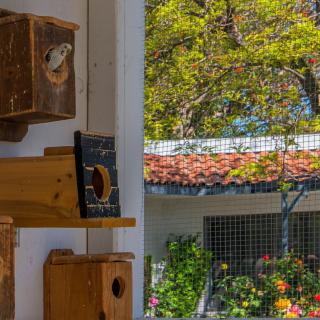A collection of wooden birdhouses is mounted on a wall, overlooking a garden through a window.
