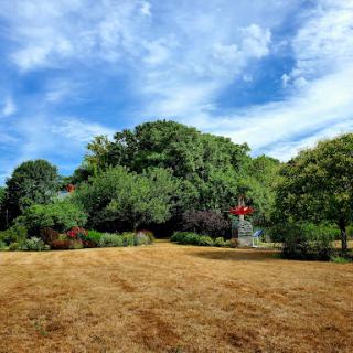 A serene park landscape featuring lush trees and a clear blue sky.