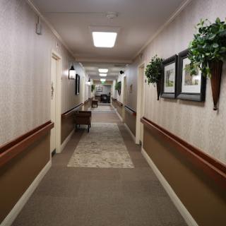 A well-lit and decorated hallway featuring plants and framed pictures.