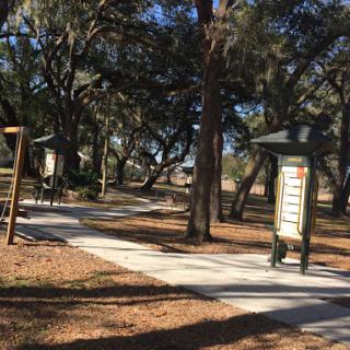 A serene park pathway surrounded by trees, perfect for a leisurely stroll.