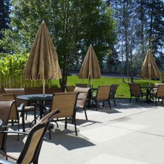 A sunny outdoor patio area with tables, chairs, and umbrellas.