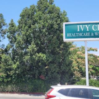 The Ivy Center for Healthcare & Wellness, surrounded by greenery and parked cars.