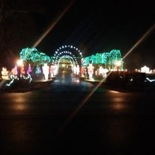 A vibrant display of holiday lights illuminating the pathway at night.