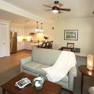 A modern open-plan living room and kitchen with cozy decor and contemporary furniture.